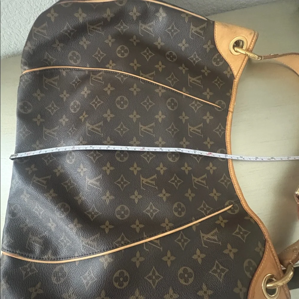 Louis Vuitton Tan and Brown Monogram Hobo Bag - Picture 11 of 12